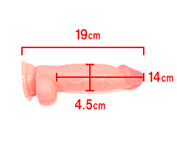 本体サイズです。