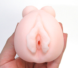 ヒダがいやらしい挿入口