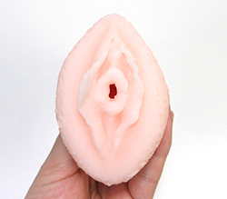 ヒダがいやらしい挿入口