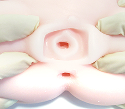 異なる2つの刺激が味わえる2穴仕様