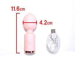 とっても可愛いイチゴの形♪