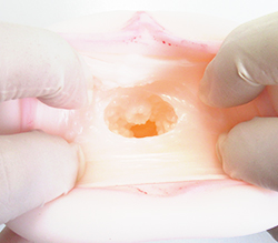 スレンダー美女の愛穴がキュプッと美味しそうに亀頭を舐めまわす。