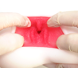 ǭߤʥҥȤäƤȷΥˡ