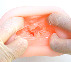 ҥۤդɷ¸4礭ΥҥߤĤƤ