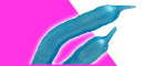 Х֥֡