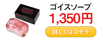 ゴイスソープ